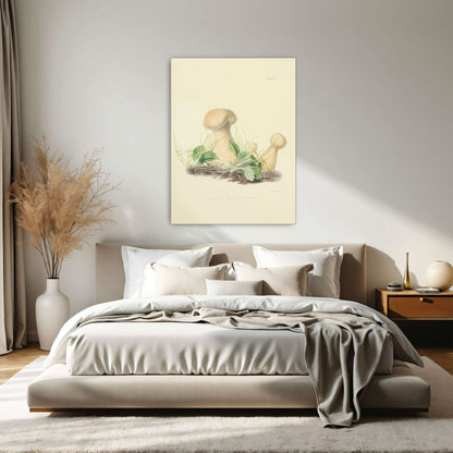Mushrooms in grass illustration by Anna Maria Hussey