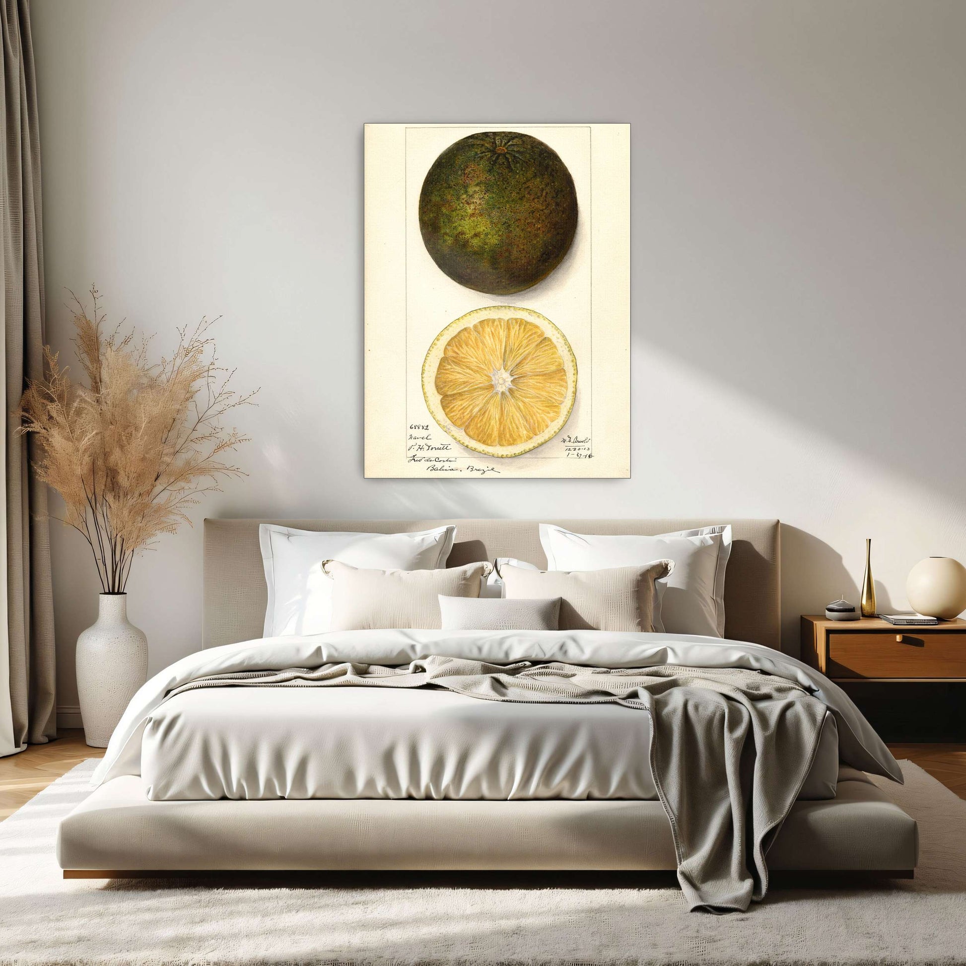 Watercolor painting of a citrus fruit by Mary Daisy Arnold