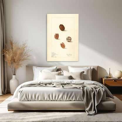 Pecans watercolor painting by Elsie E. Lower