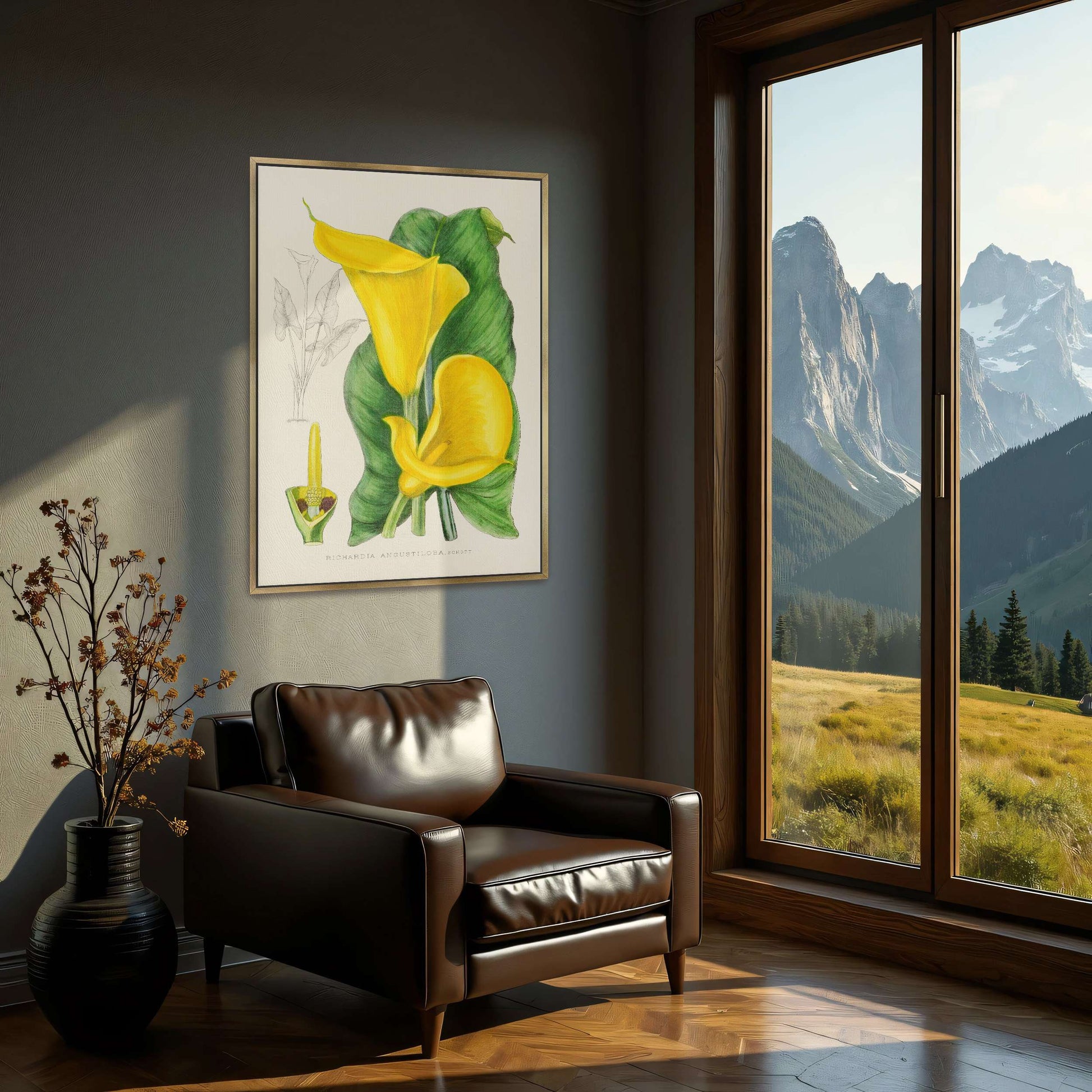 Yellow Calla Lily Botanical Illustration by Illtyd Buller Pole-Evans