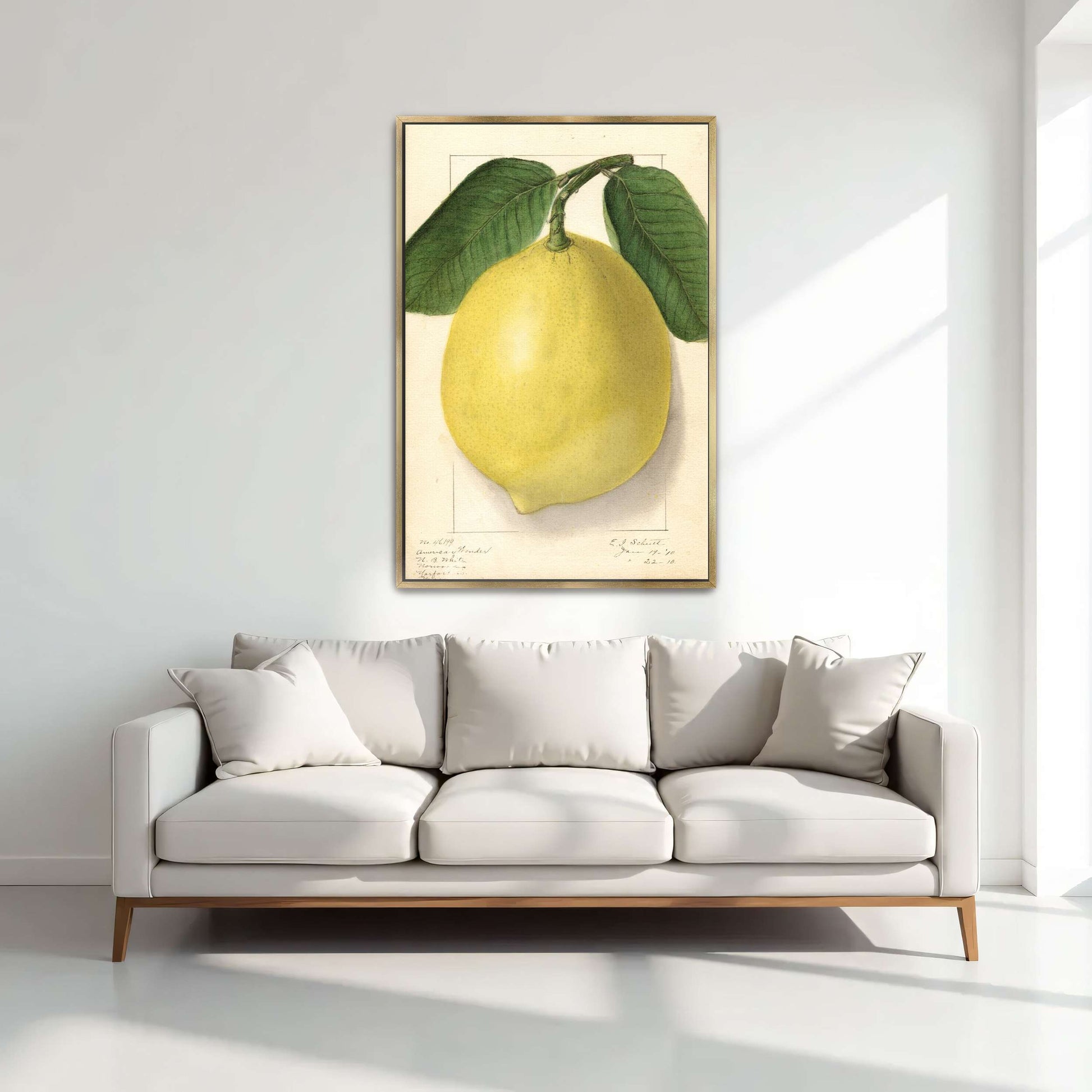 Lemon with leaves watercolor by Ellen Isham Schutt