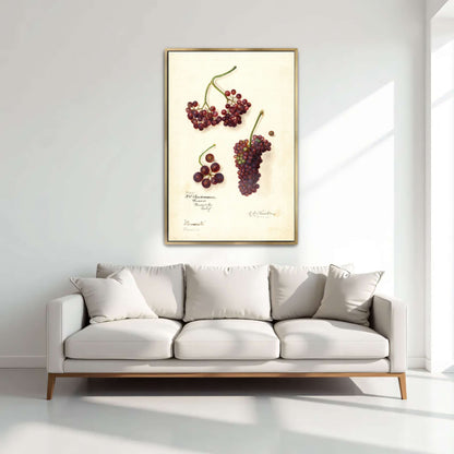 Grape and berry watercolor by Amanda Almira Newton