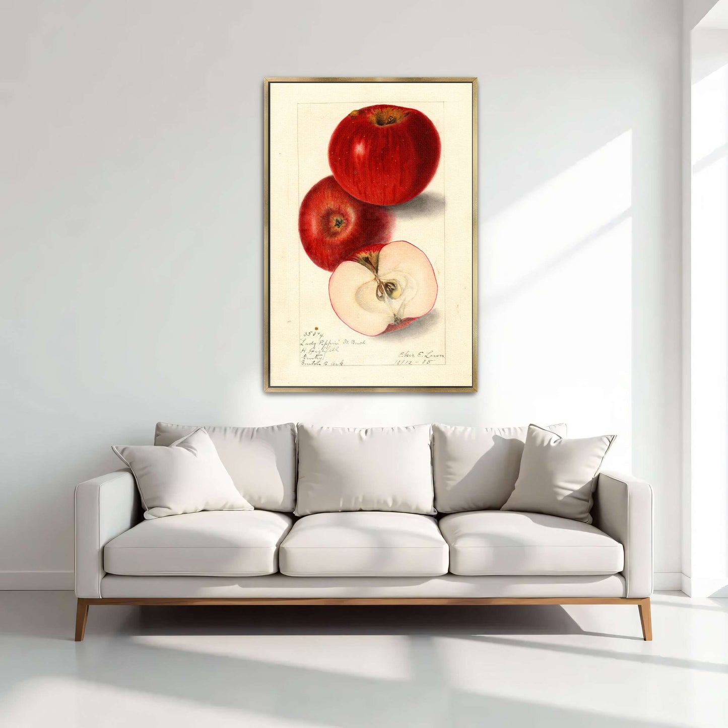 Three red apples, watercolor painting by Elsie E. Lower