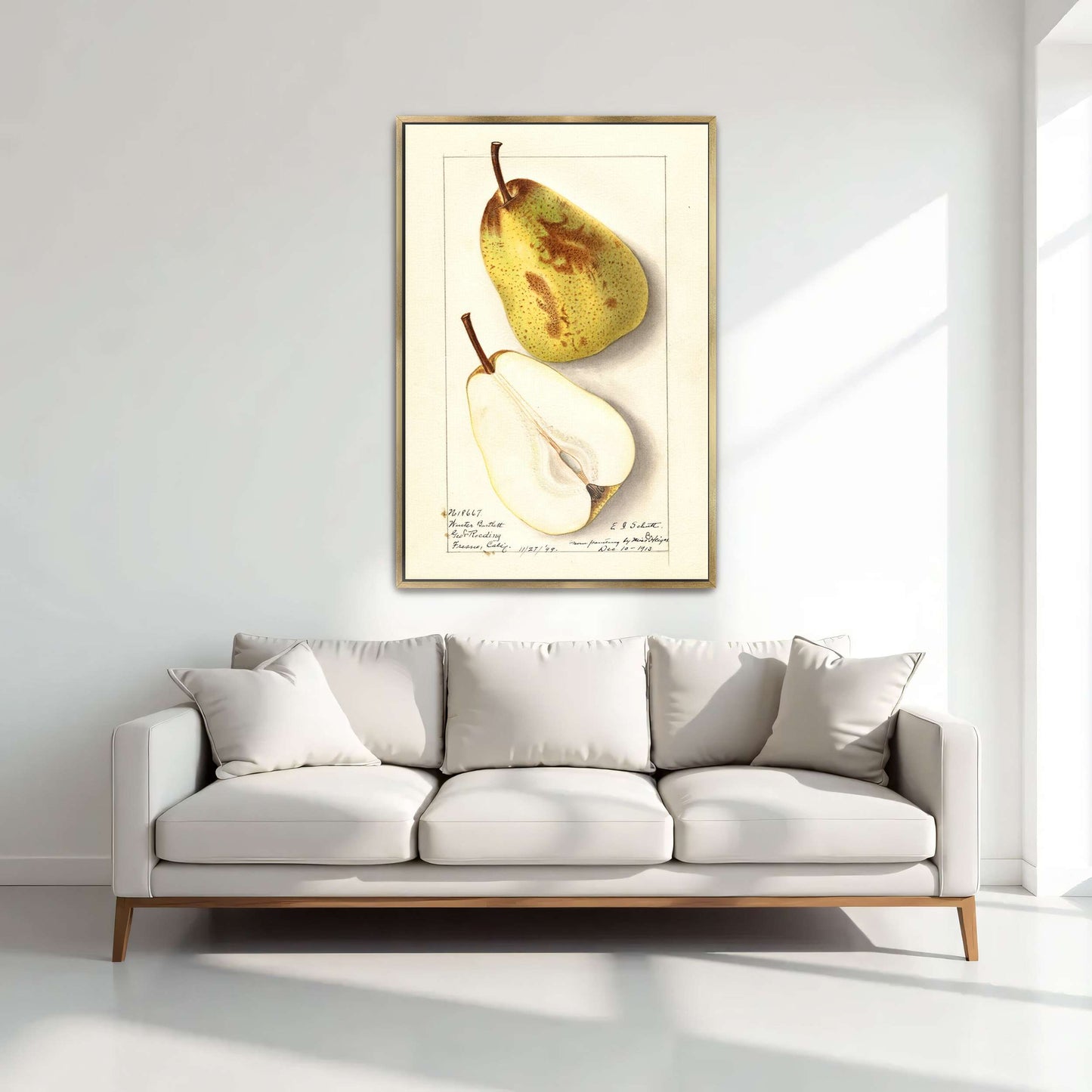 Watercolor pear painting by Ellen Isham Schutt