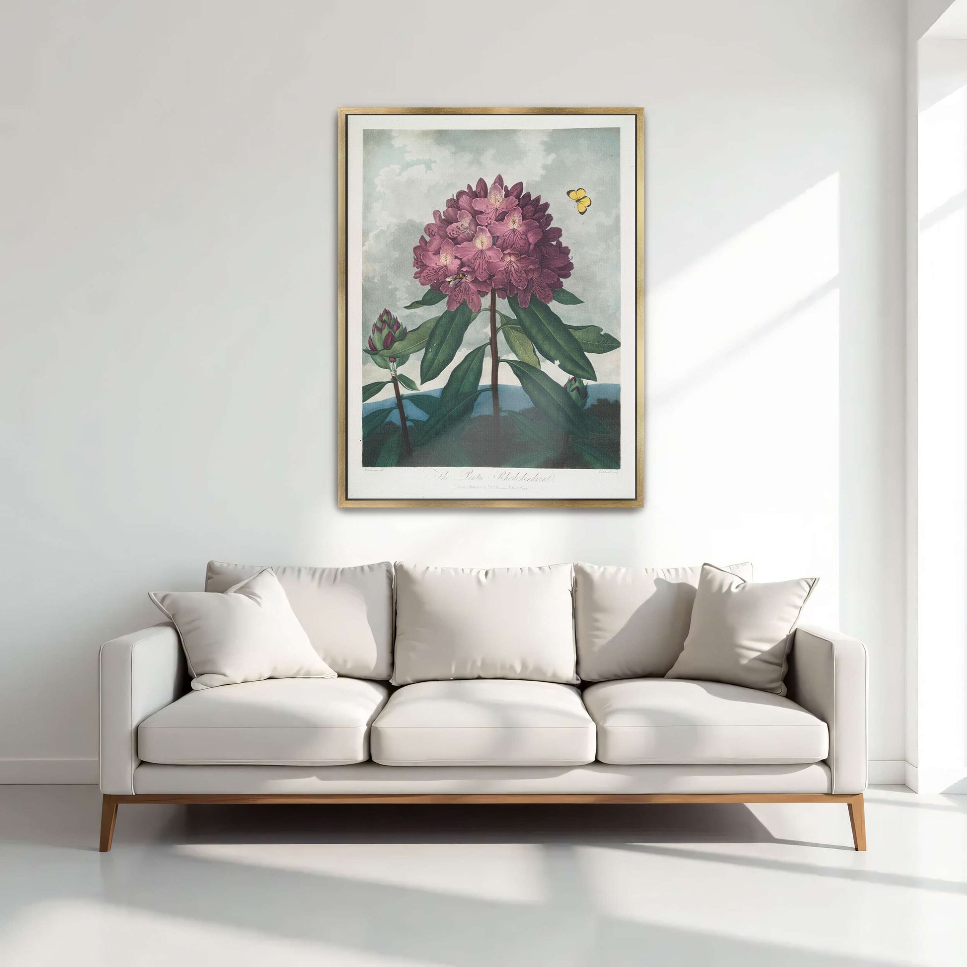 Pink Rhododendron with Insects by Robert John Thornton