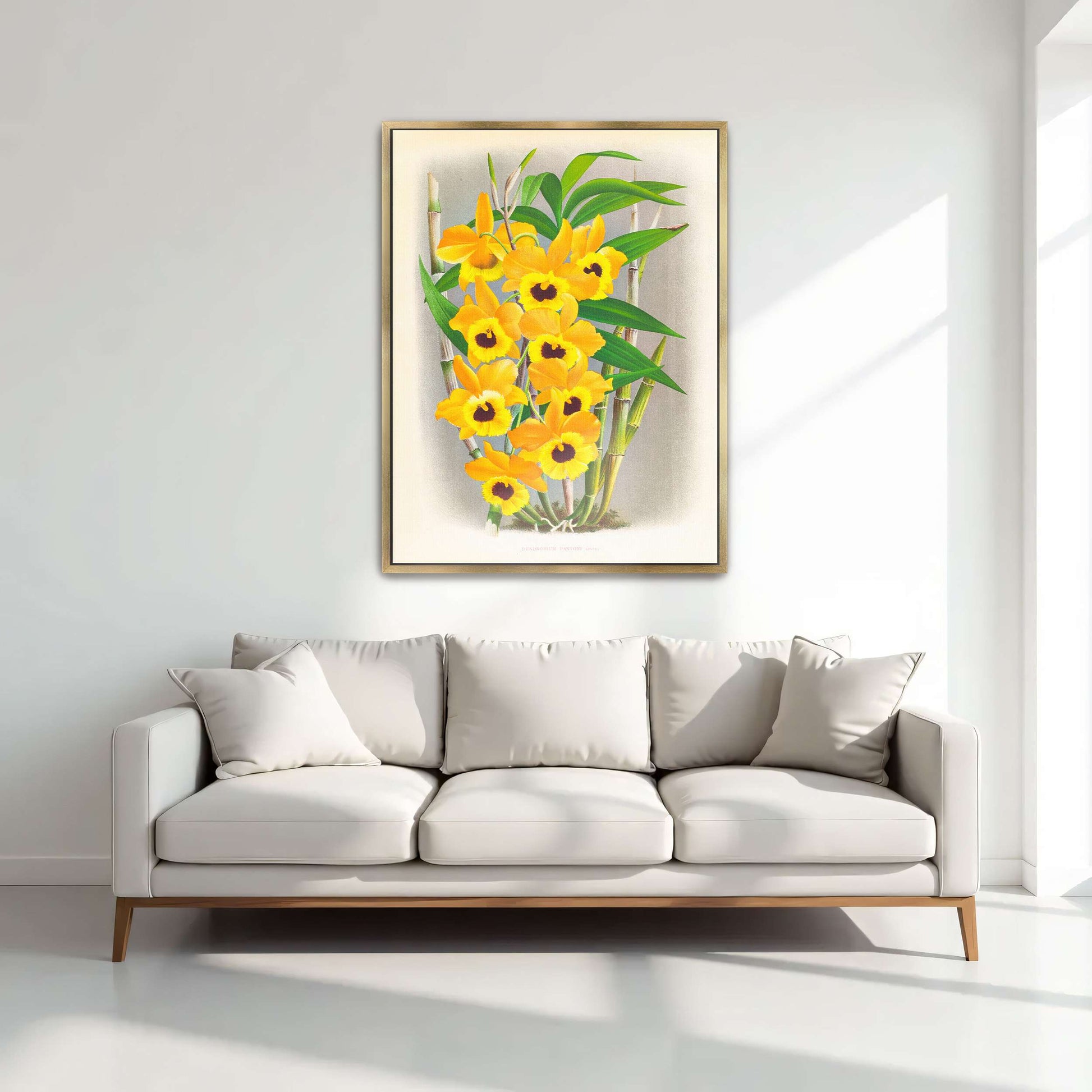 Yellow orchid botanical illustration by Jean Jules Linden