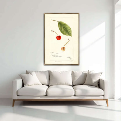 Cherry leaf and fruit watercolor by Bertha Heiges