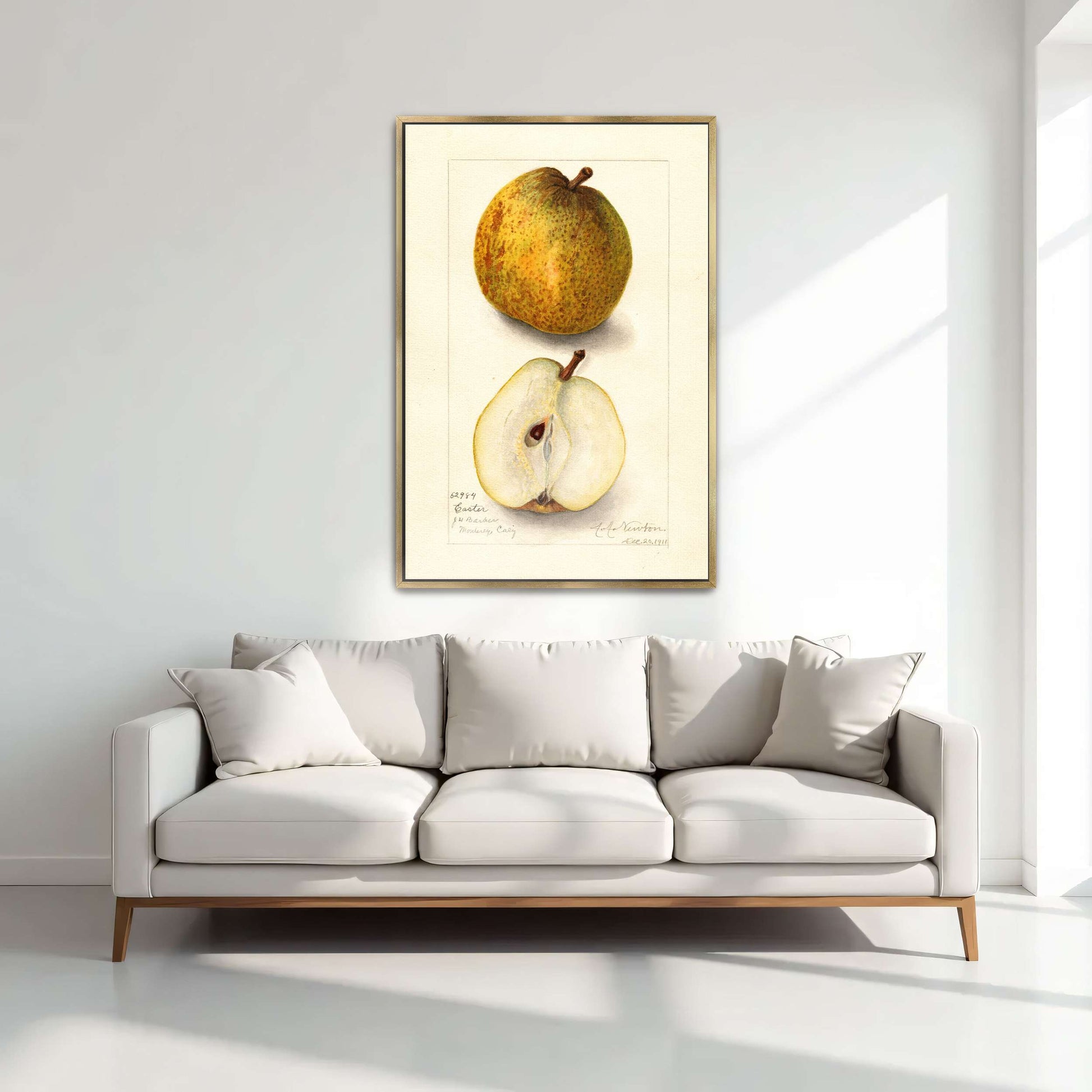 Watercolor painting of pears by Amanda Almira Newton