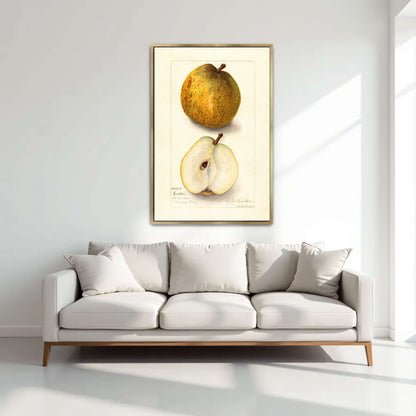 Watercolor painting of pears by Amanda Almira Newton