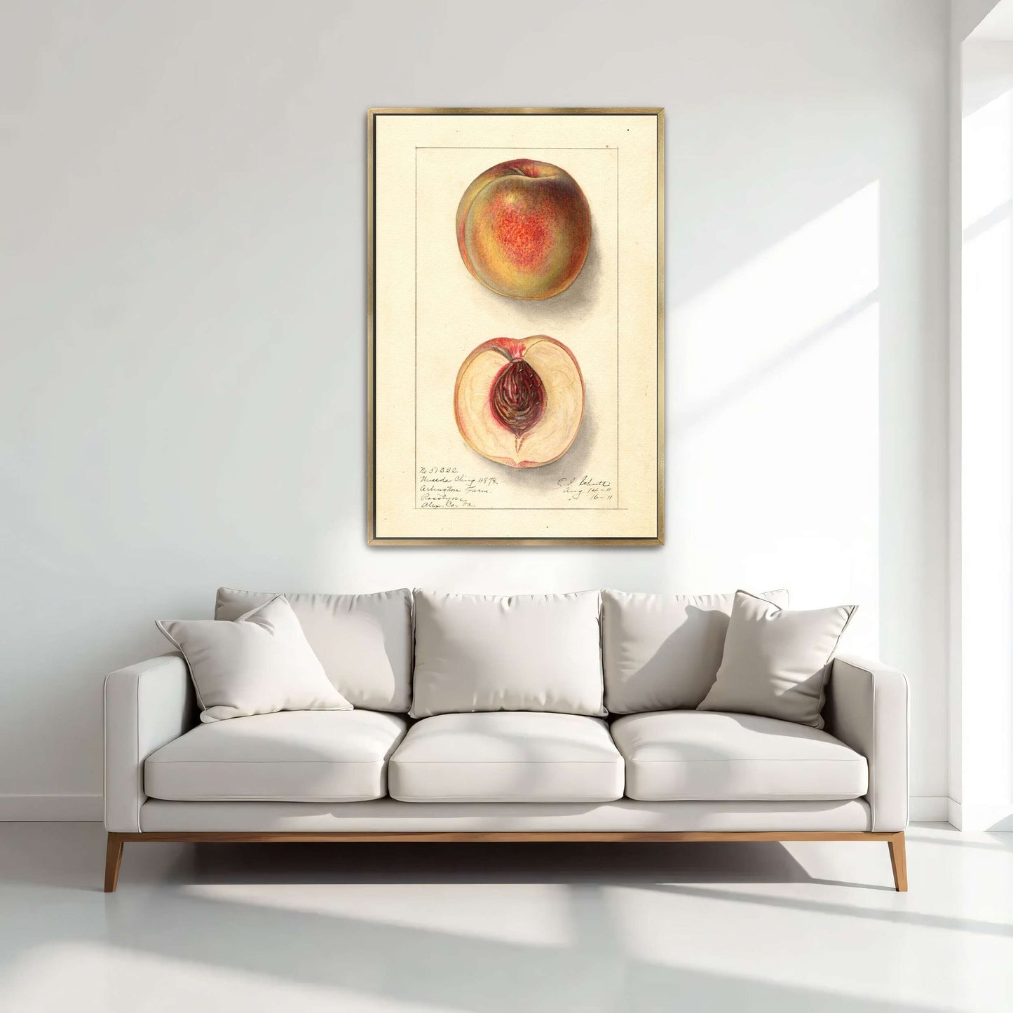 Peach Watercolor Painting by Ellen Isham Schutt