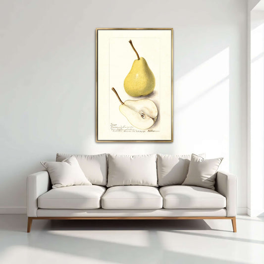 Watercolor pear painting by Deborah Griscom Passmore