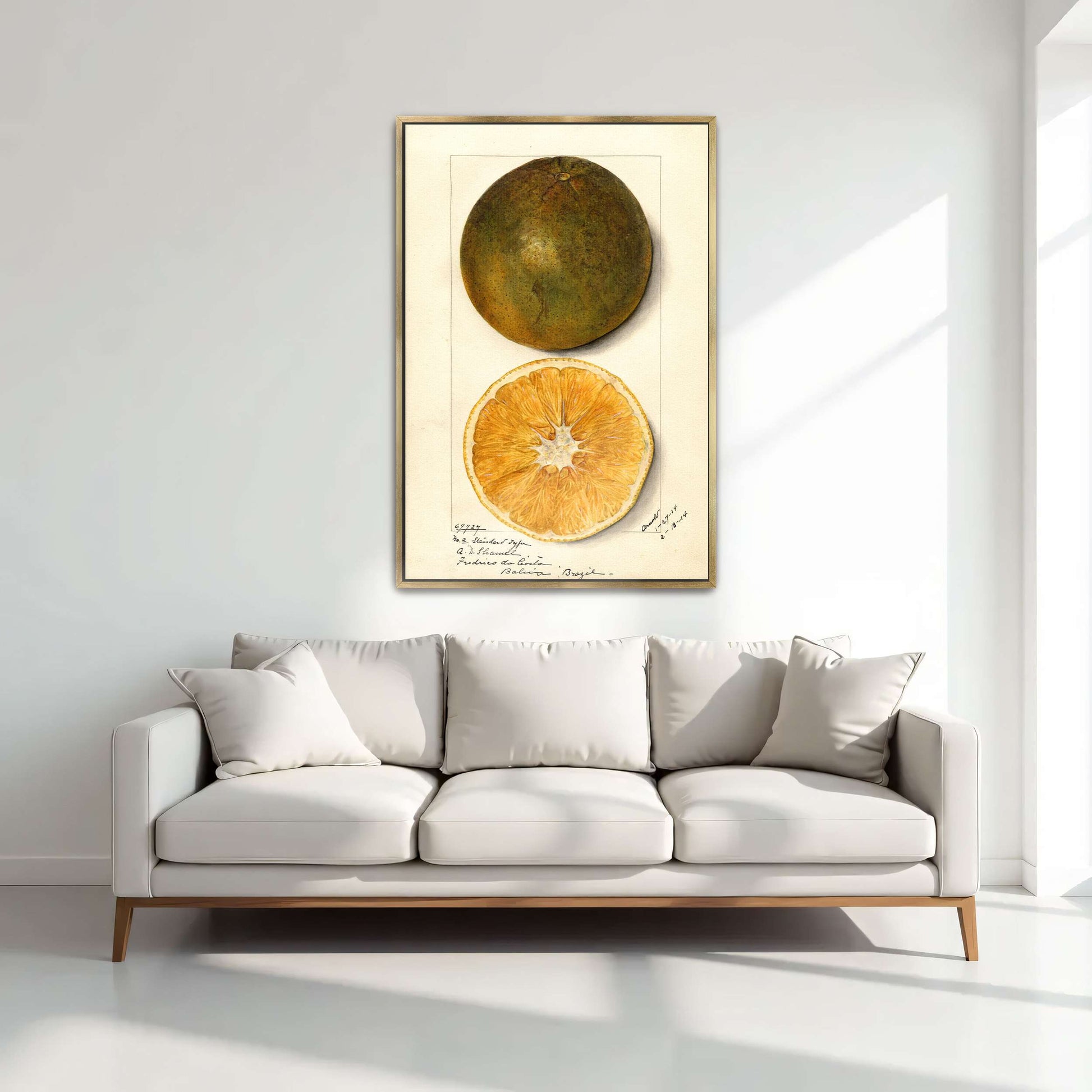 Orange fruit watercolor painting by Mary Daisy Arnold