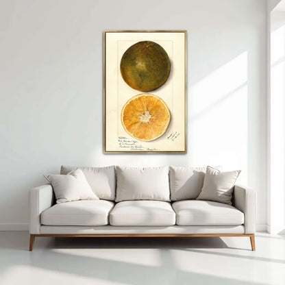 Orange fruit watercolor painting by Mary Daisy Arnold