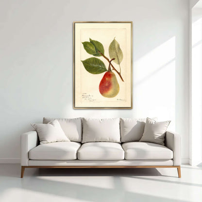 Summer Beauty pear watercolor by Deborah Griscom Passmore