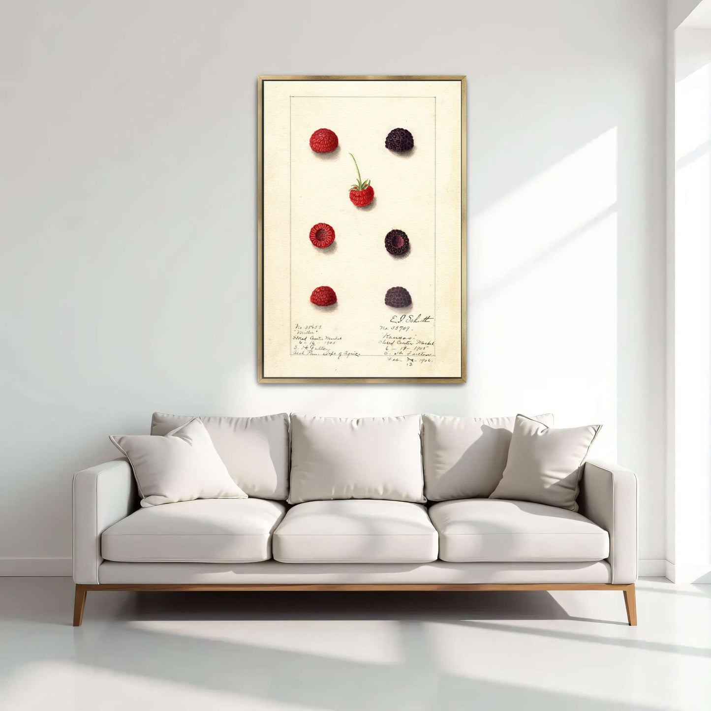 Watercolor painting of raspberries by Yara Rabibzad