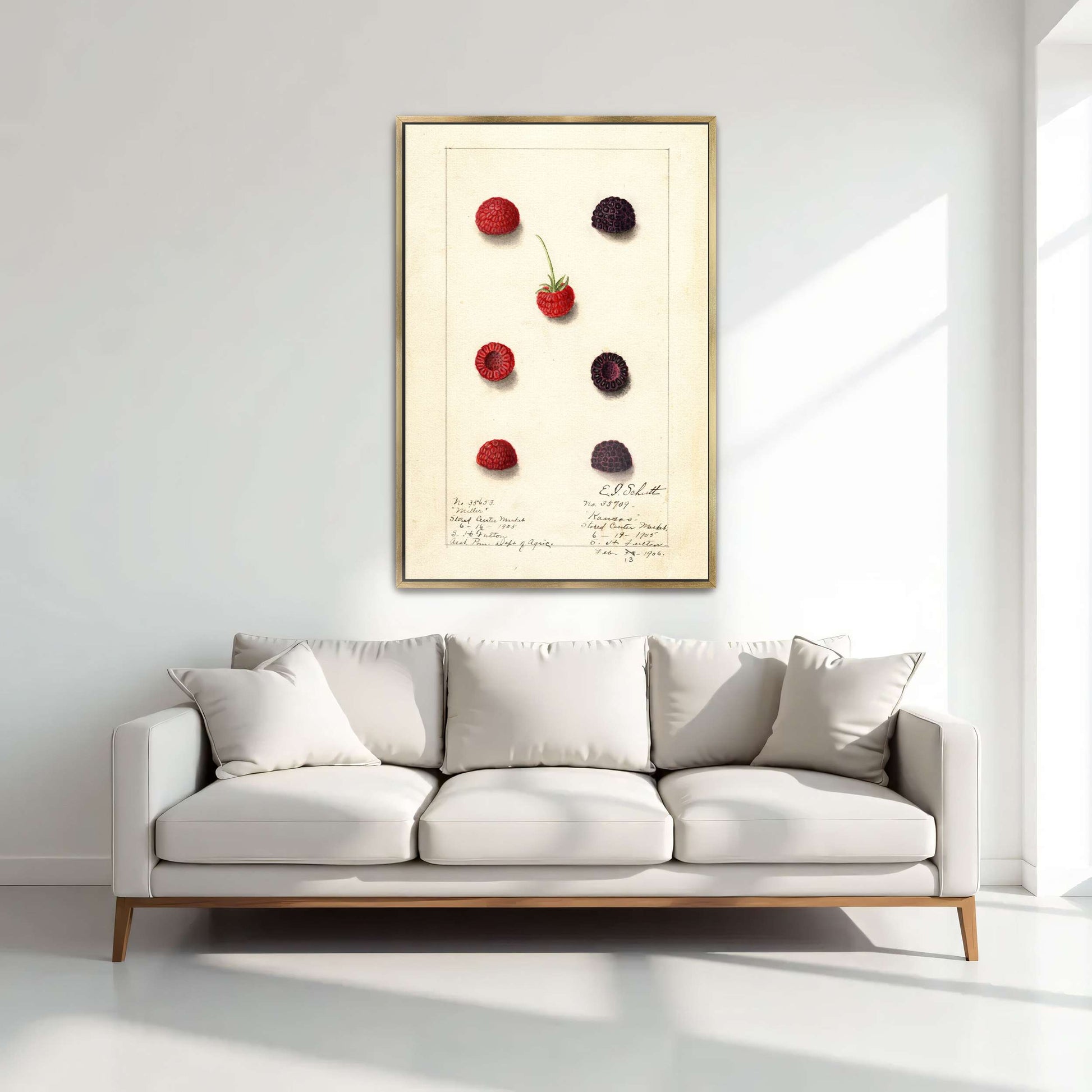 Watercolor painting of raspberries by Yara Rabibzad