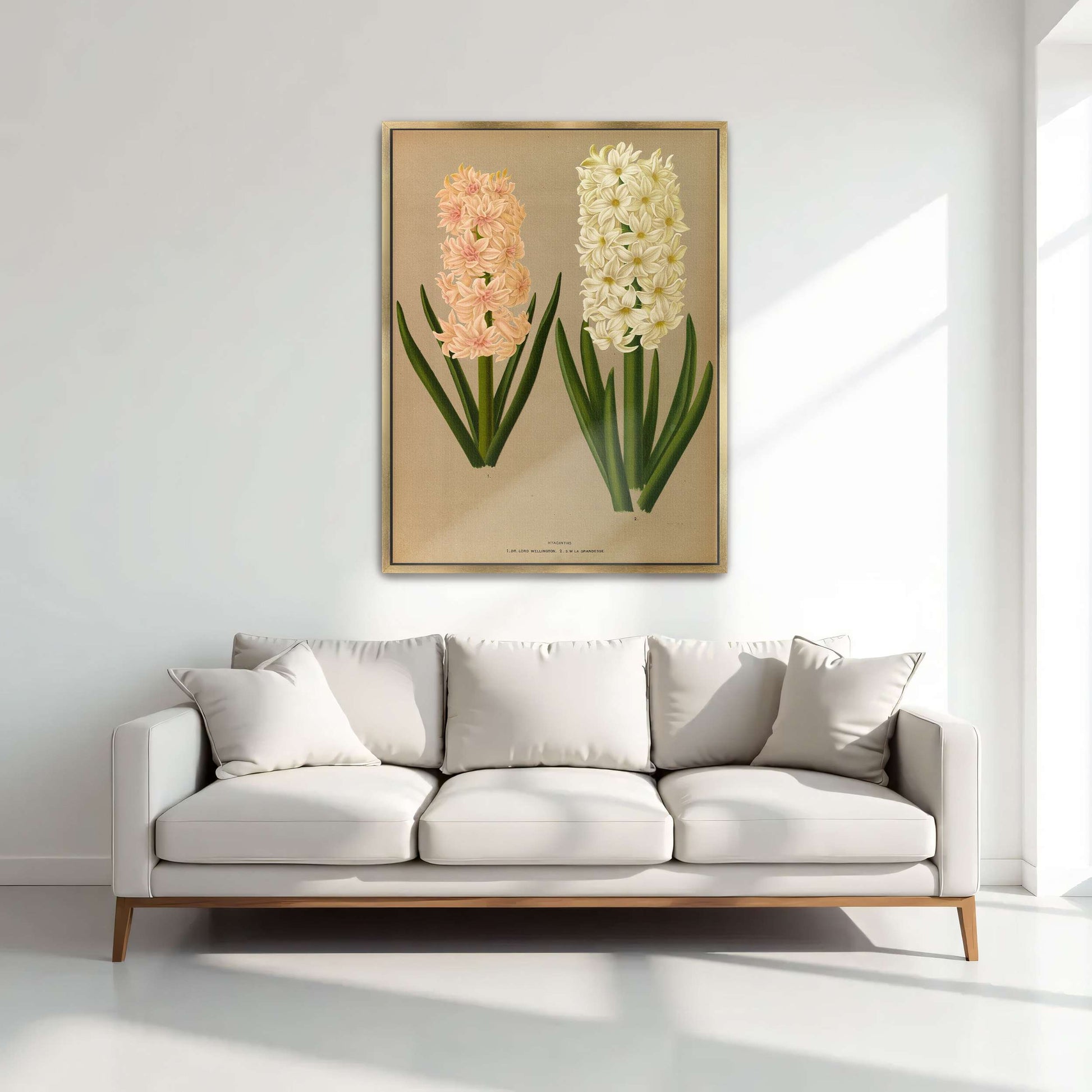 Two Hyacinth Flowers by Arentina Hendrica Arendsen