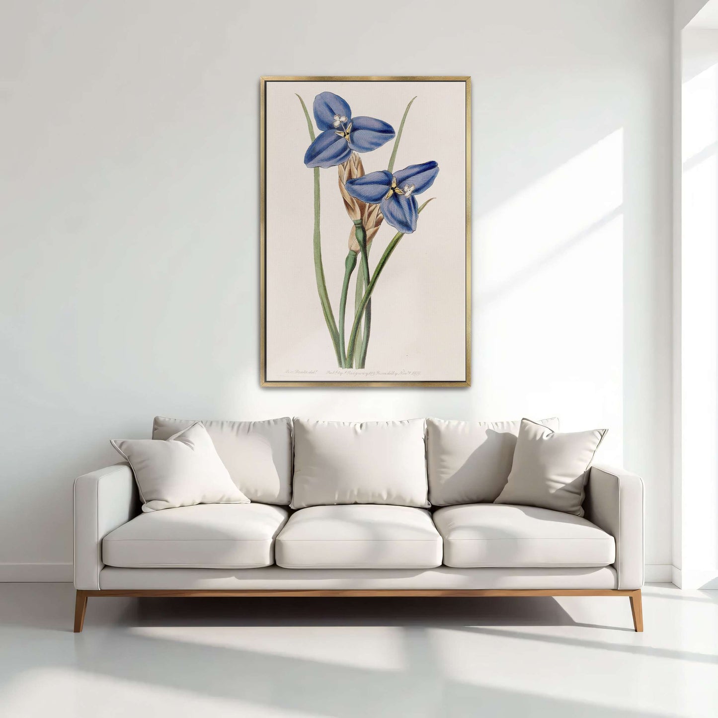 Blue flowers botanical illustration by Sydenham Edwards