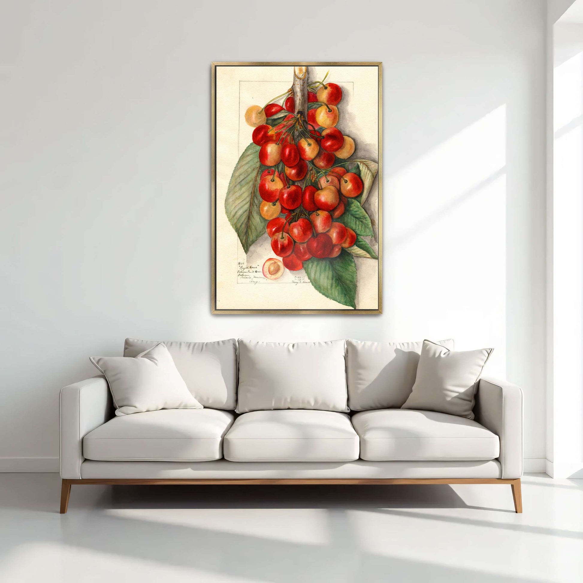 Watercolor painting of cherries by Mary Daisy Arnold
