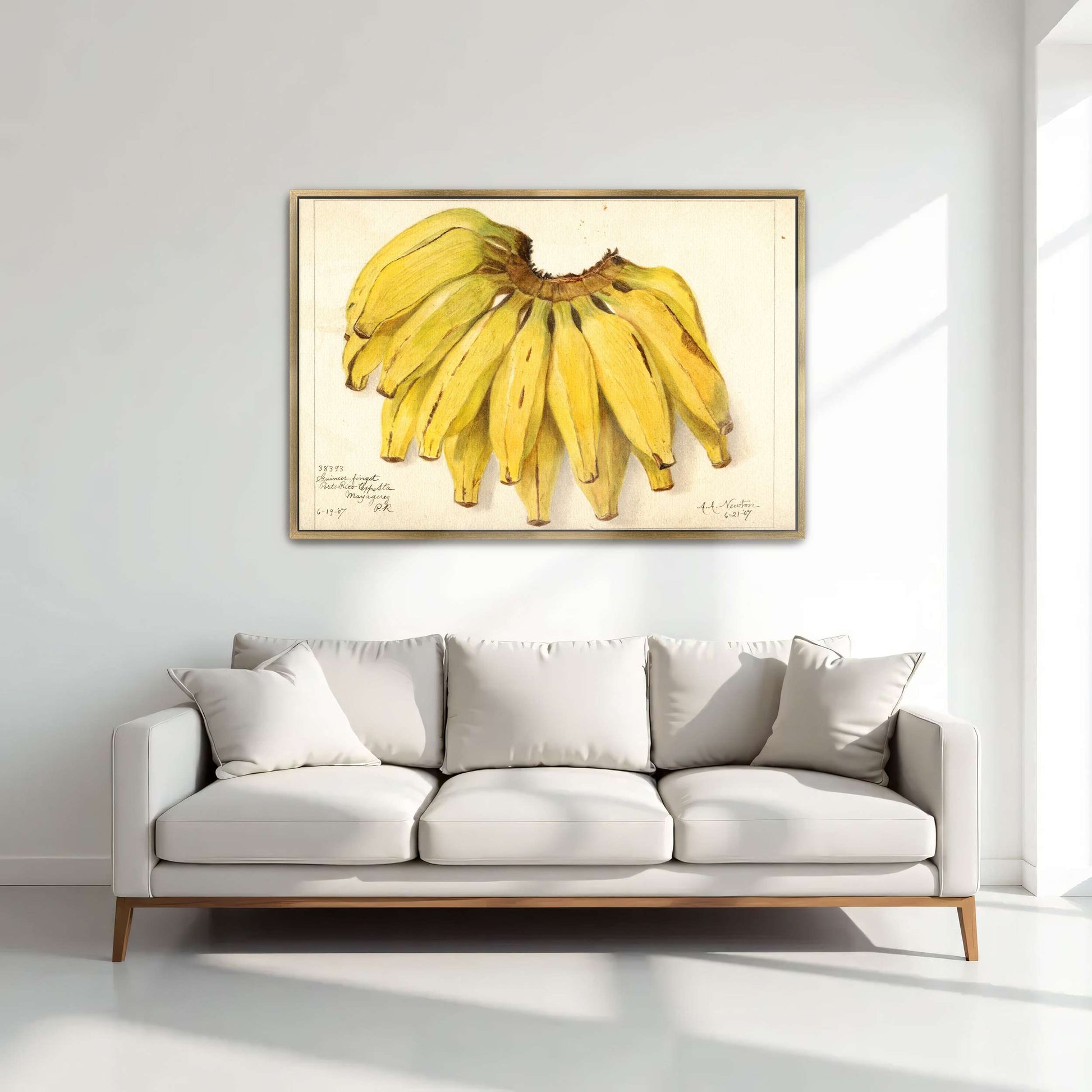 Watercolor painting of bananas by Amanda Almira Newton