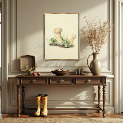 Mushrooms in grass illustration by Anna Maria Hussey