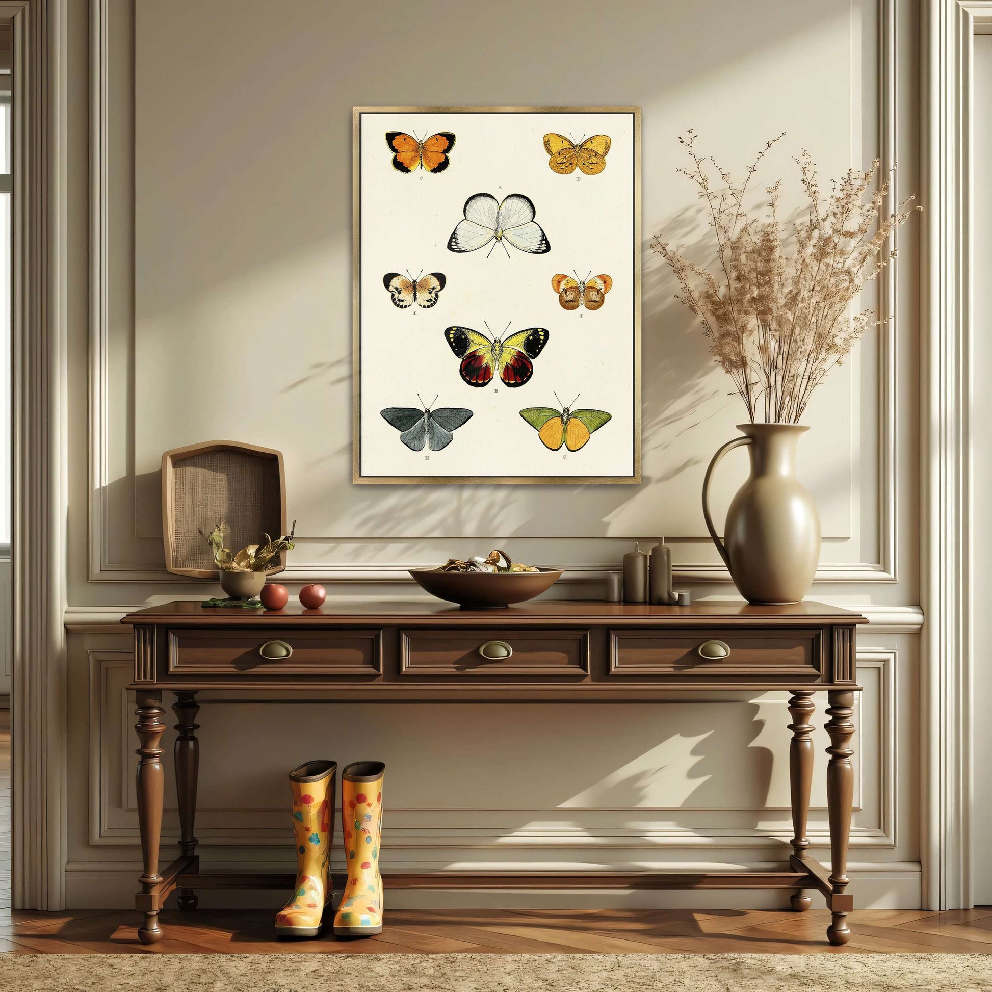 Collection of butterflies on a white page by Pieter Cramer