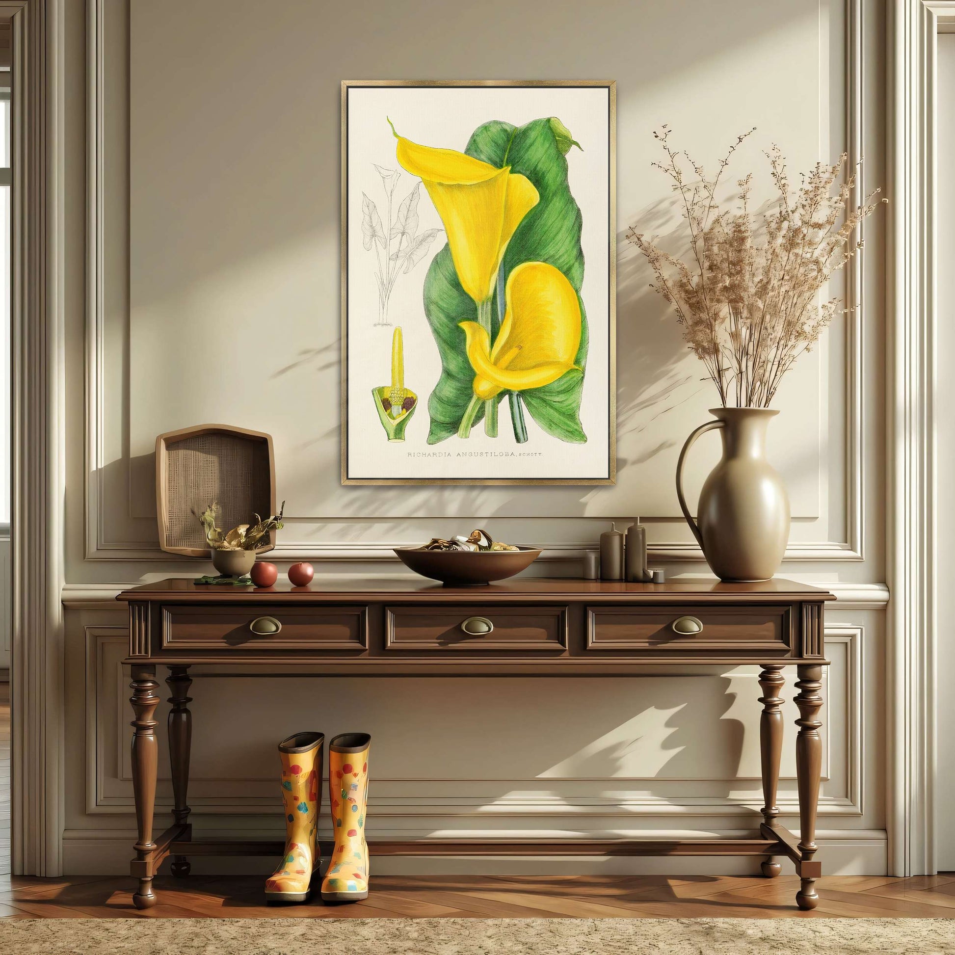 Yellow Calla Lily Botanical Illustration by Illtyd Buller Pole-Evans