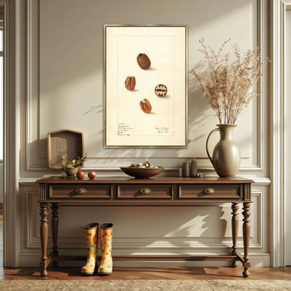 Pecans watercolor painting by Elsie E. Lower