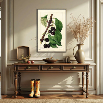 Black Republican Cherries by William Henry Prestele