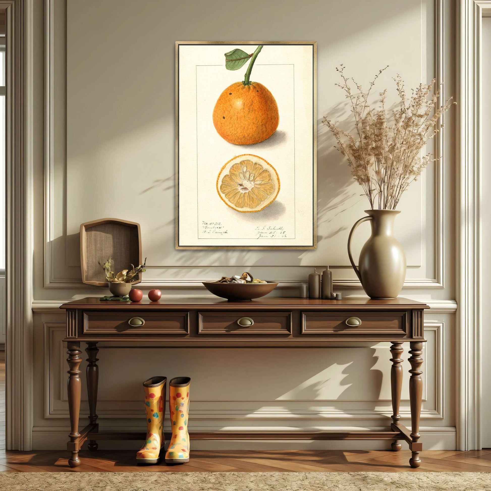 Orange fruit botanical illustration by Ellen Isham Schutt
