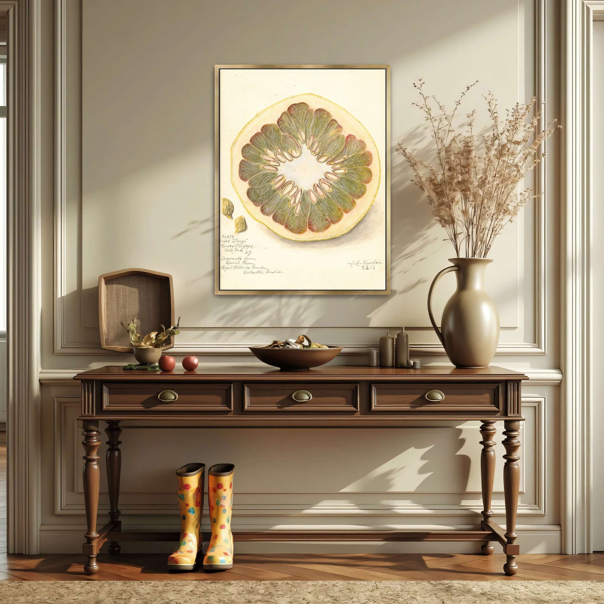 Pomelo cross-section watercolor by Amanda Almira Newton