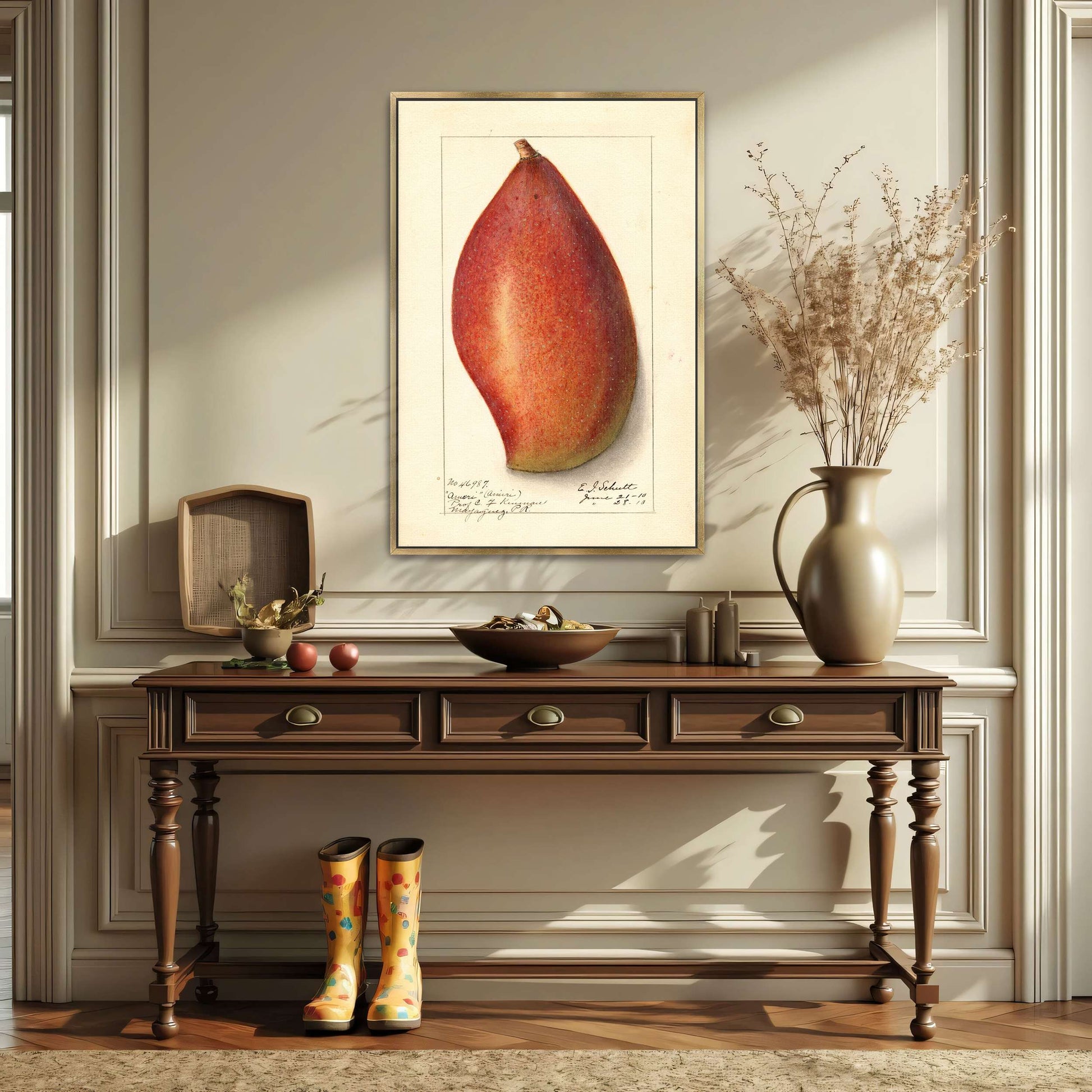 Red mango botanical illustration by Ellen Isham Schutt