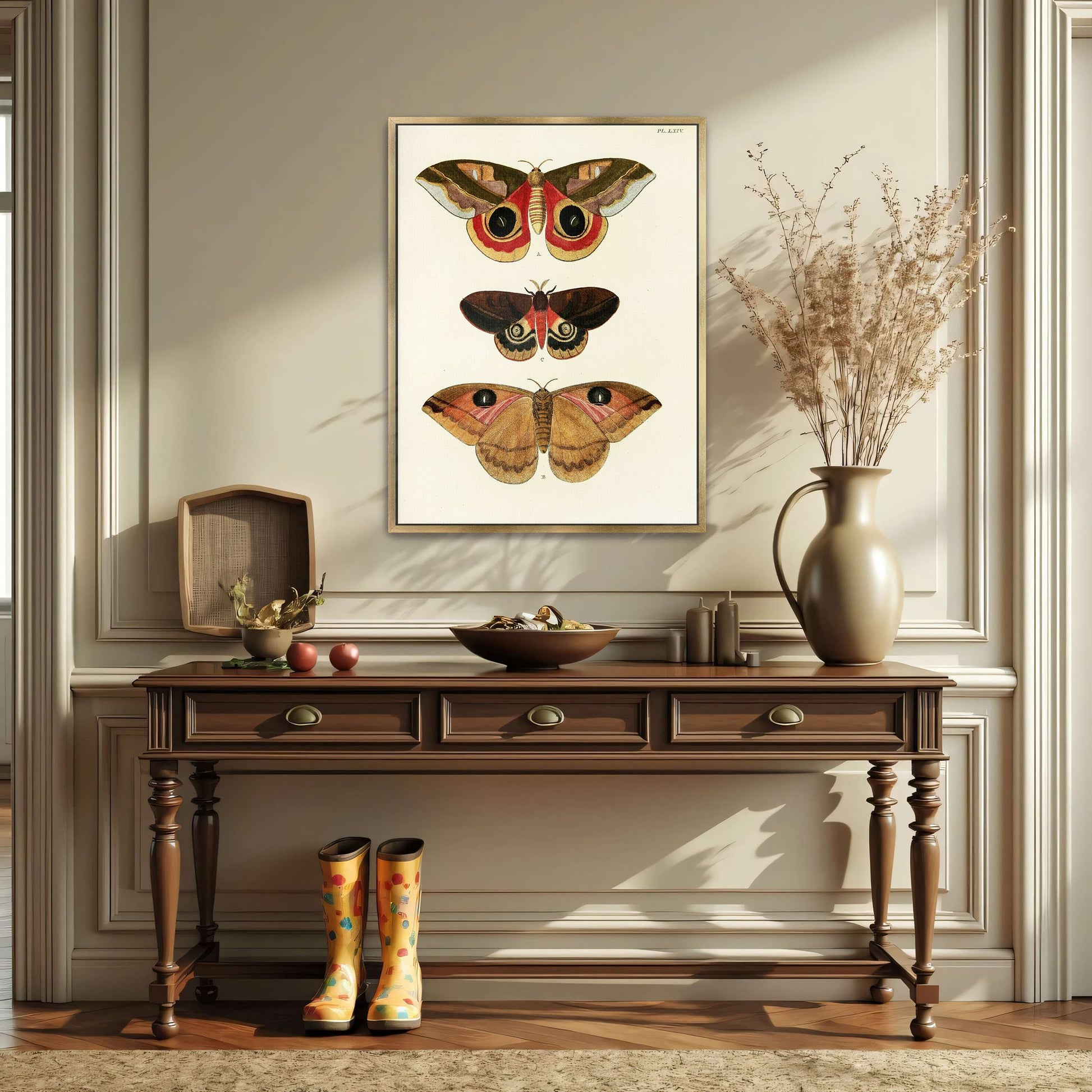 Three butterfly specimens on white background by Pieter Cramer