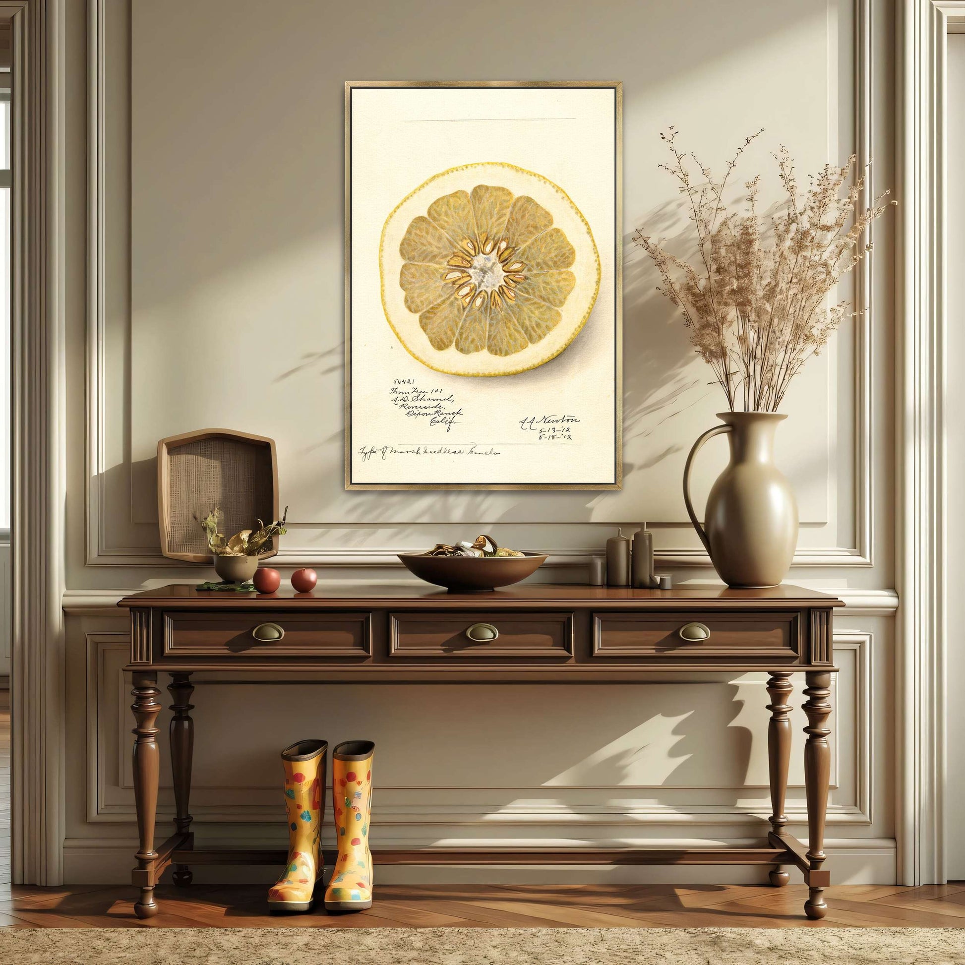 Watercolor of pomelo cross-section by Amanda Almira Newton