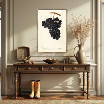 Dark Grapes on Vine by Deborah Griscom Passmore