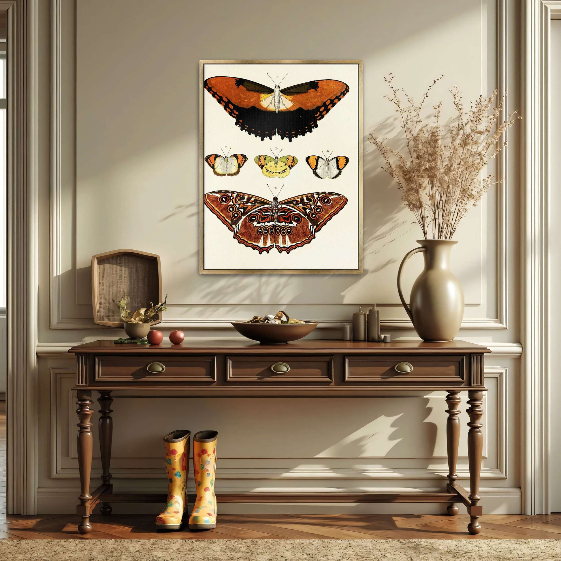 Five butterflies on white background by Pieter Cramer