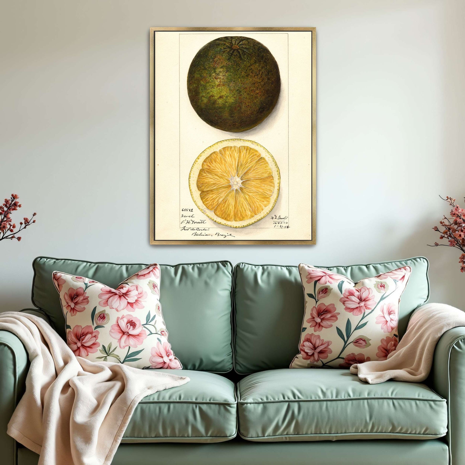 Watercolor painting of a citrus fruit by Mary Daisy Arnold