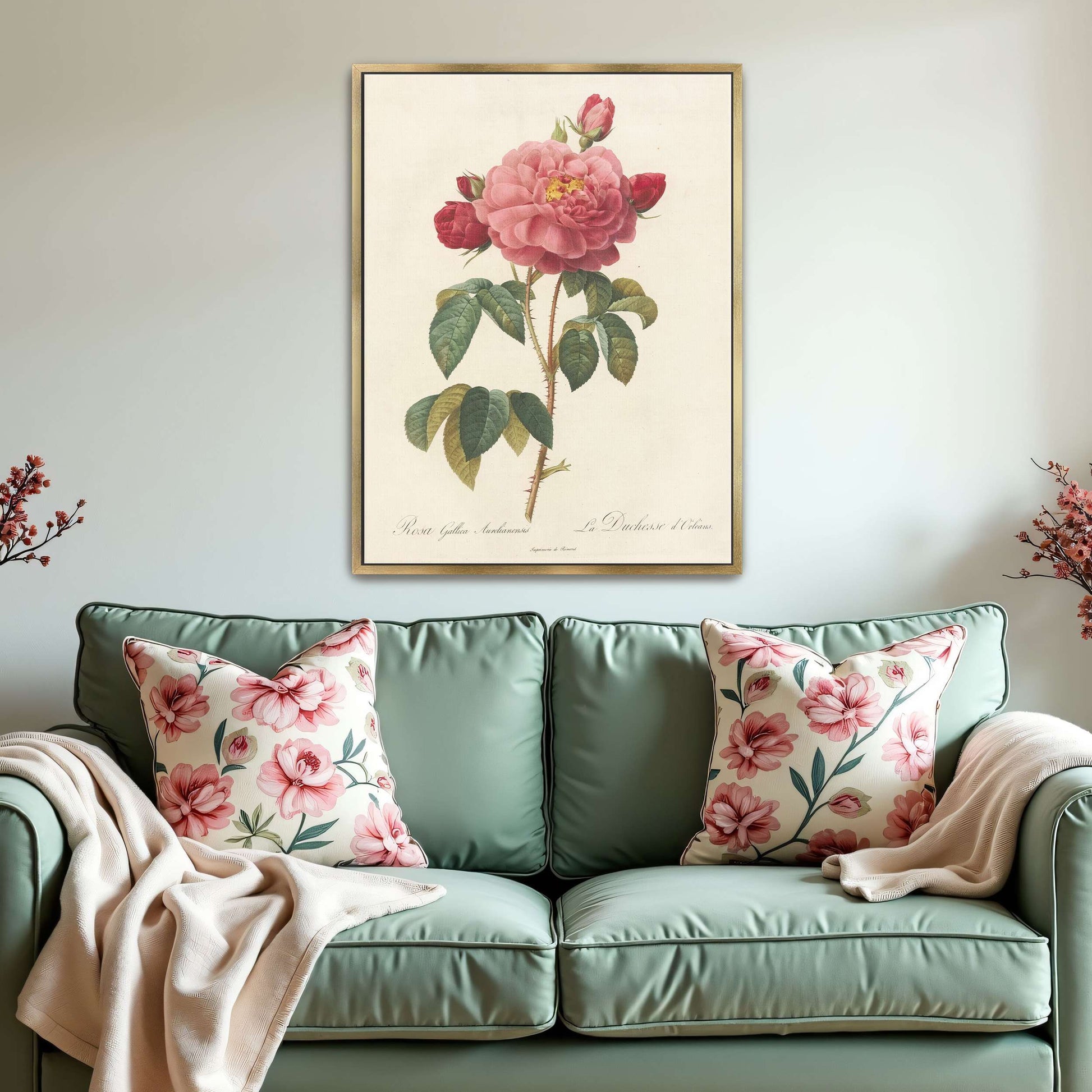 Pink rose botanical illustration by Pierre Joseph Redouté