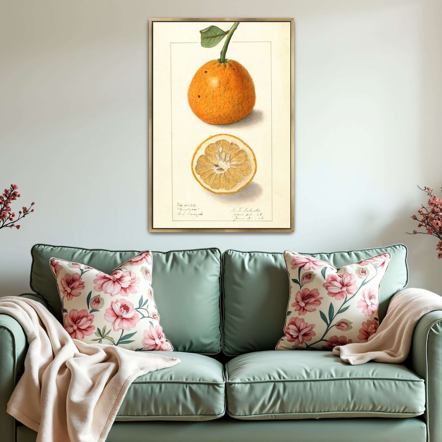 Orange fruit botanical illustration by Ellen Isham Schutt