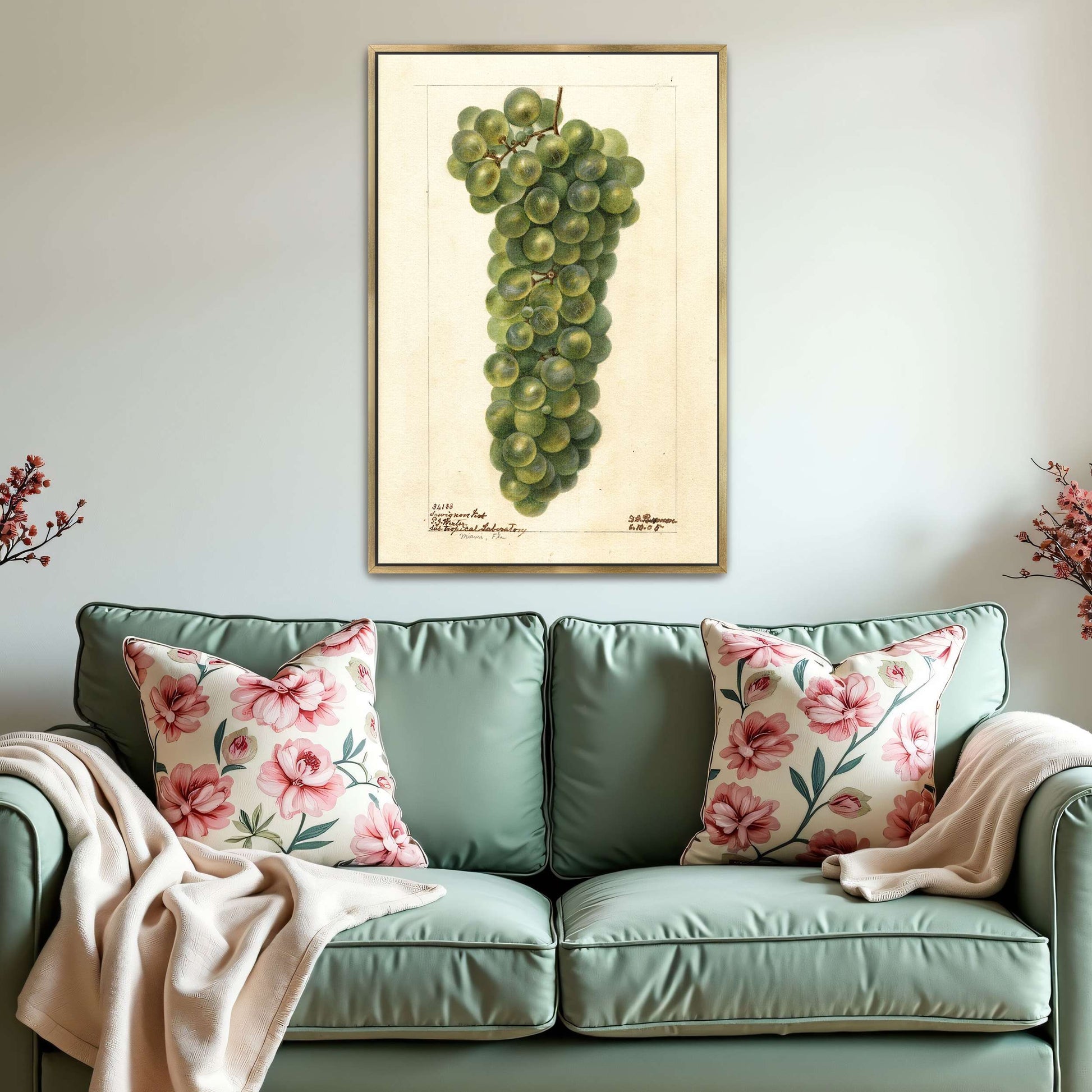 Green grape cluster watercolor by Deborah Griscom Passmore