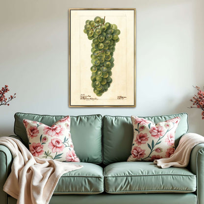 Green grape cluster watercolor by Deborah Griscom Passmore