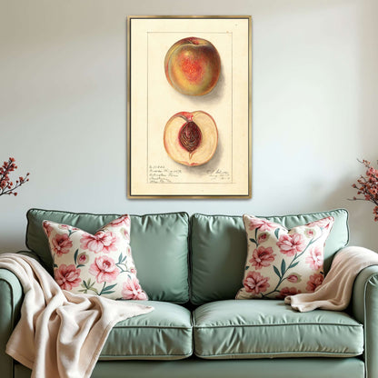 Peach Watercolor Painting by Ellen Isham Schutt