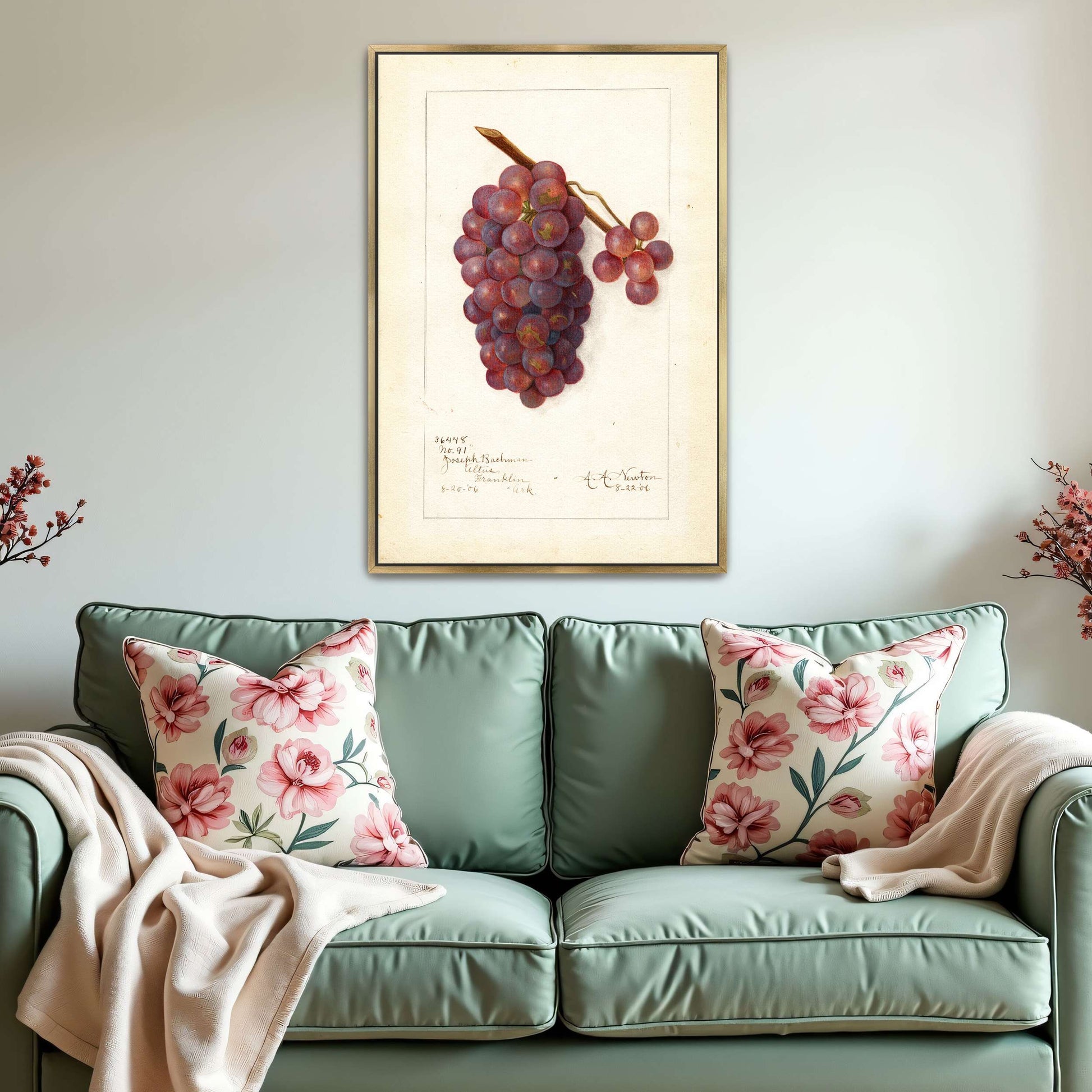 Watercolor painting of grapes by Amanda Almira Newton