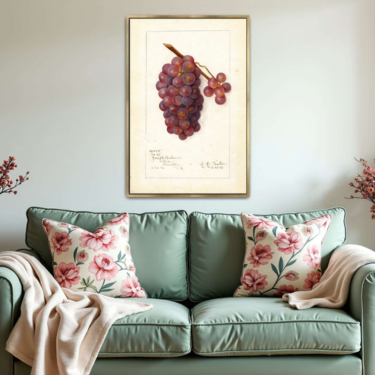 Watercolor painting of grapes by Amanda Almira Newton