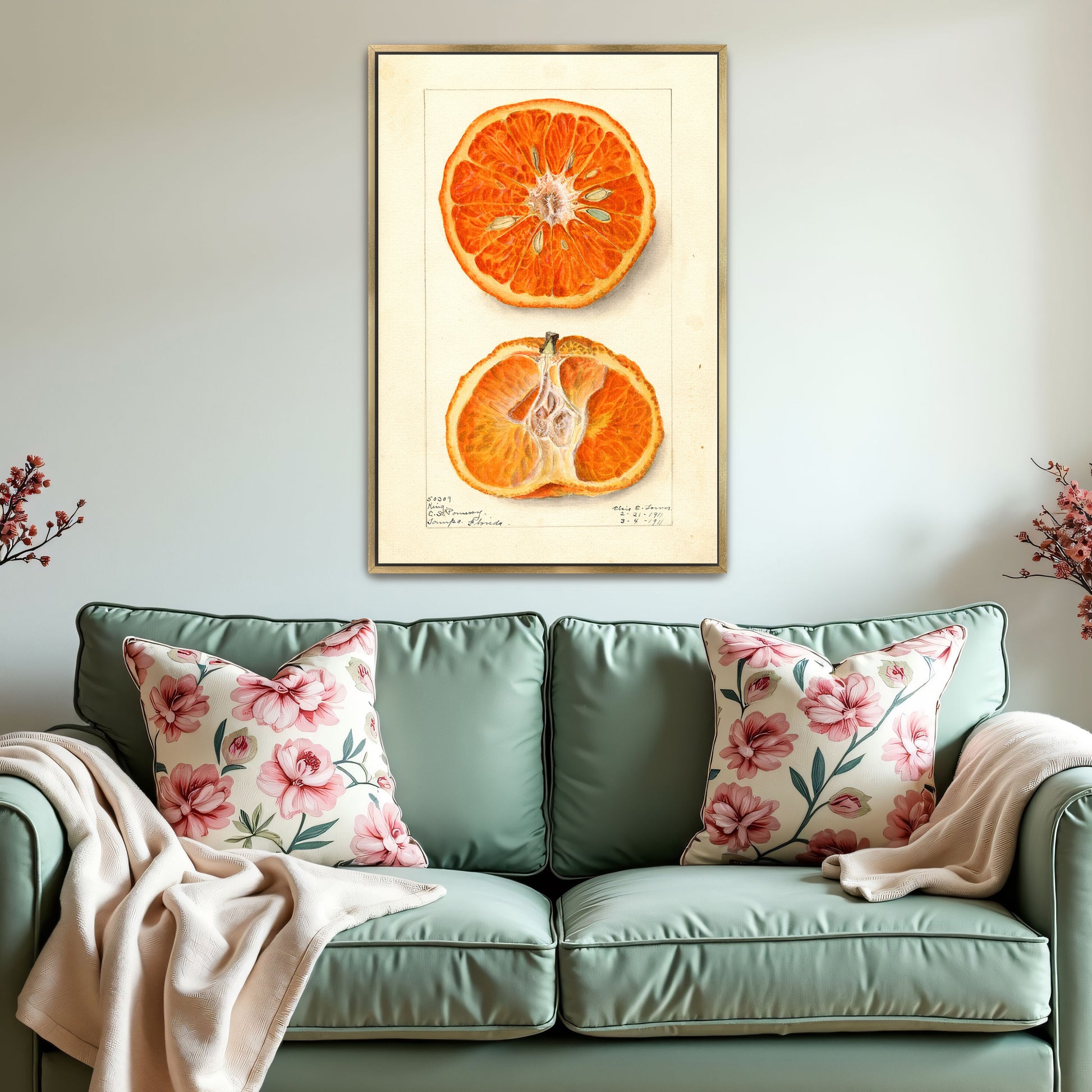 King Citrus Fruit Watercolor Illustration By Elsie E. Lower