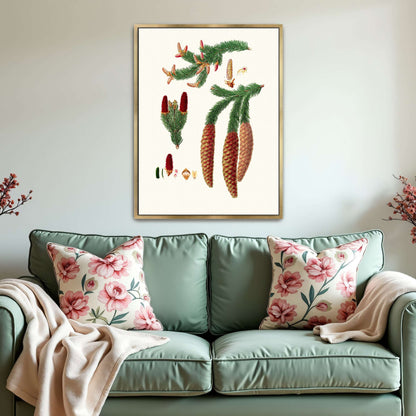 Norway spruce fir botanical illustration by Aylmer Bourke Lambert