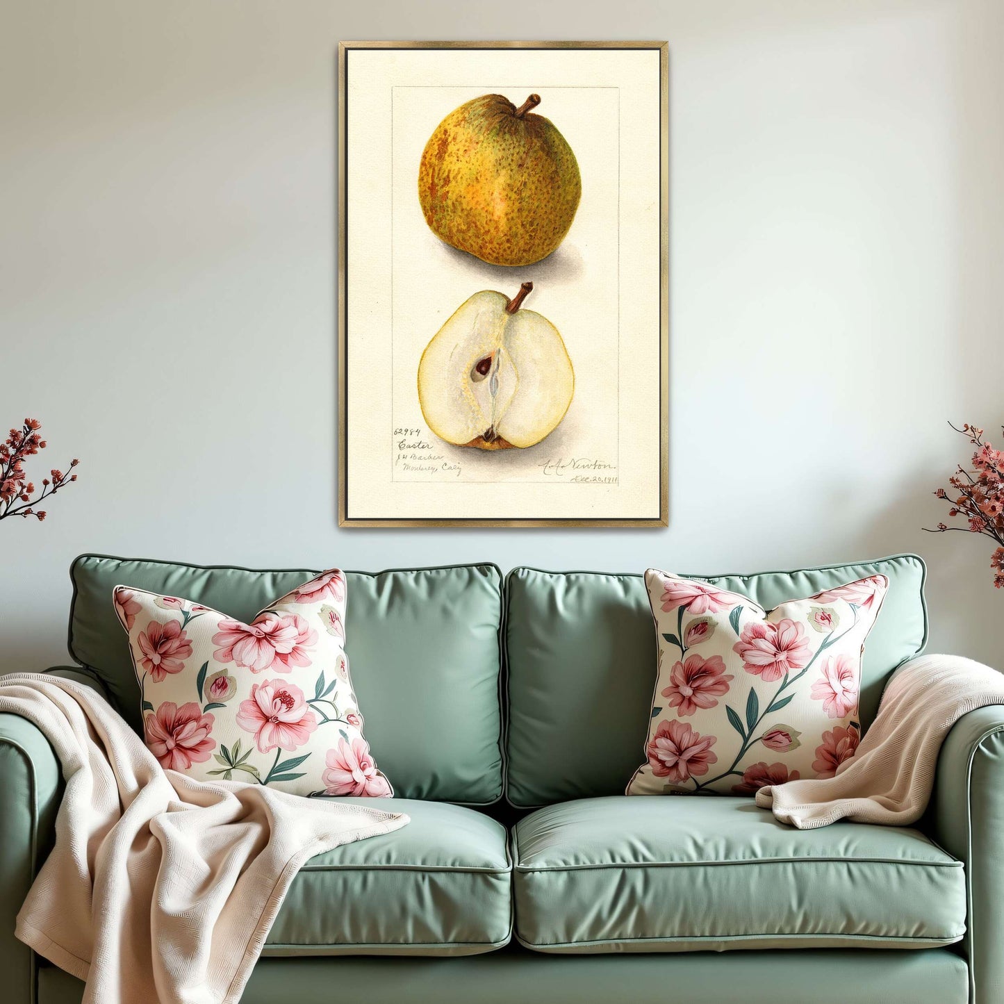 Watercolor painting of pears by Amanda Almira Newton