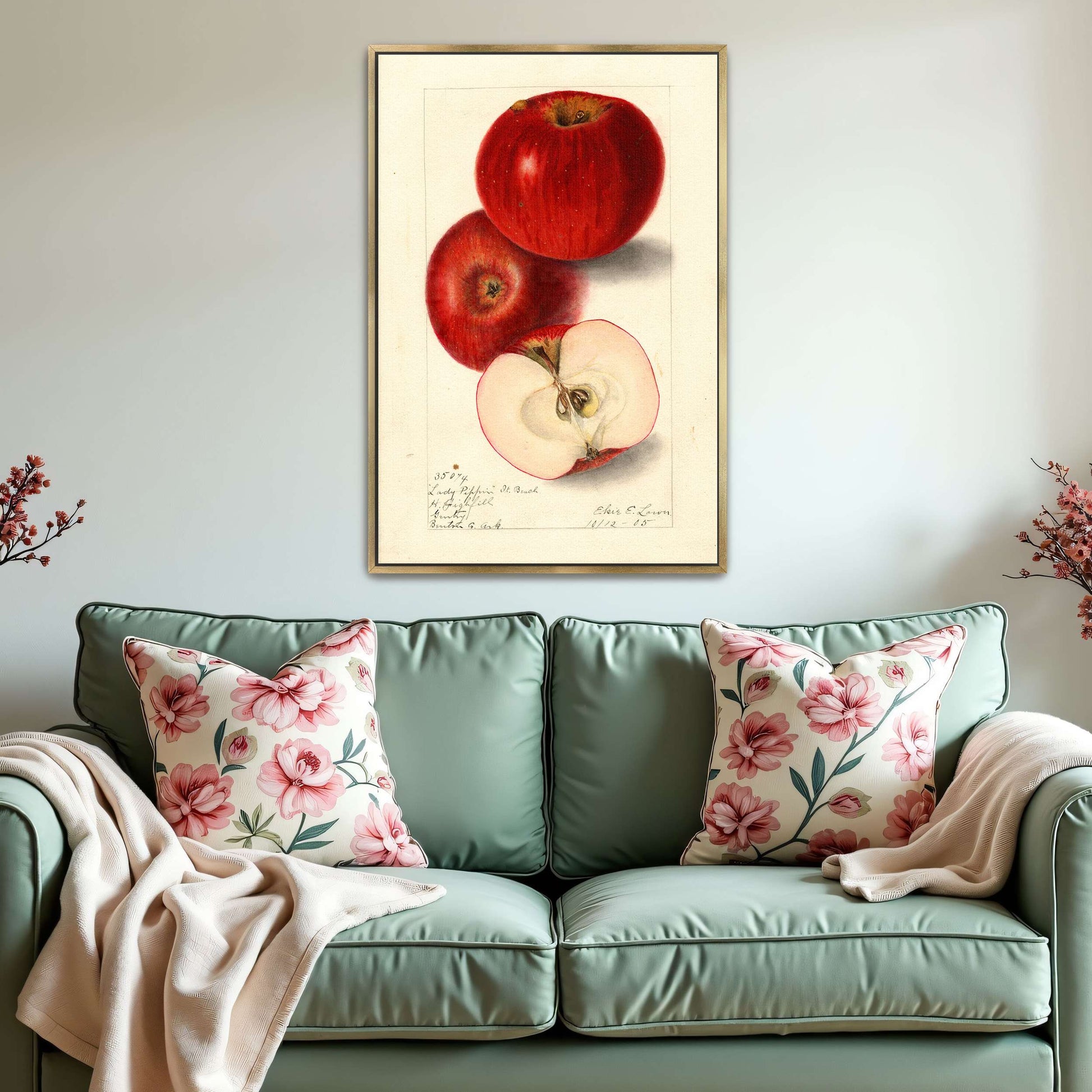 Three red apples, watercolor painting by Elsie E. Lower