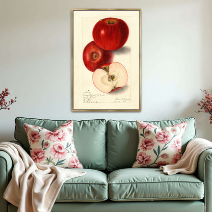 Three red apples, watercolor painting by Elsie E. Lower