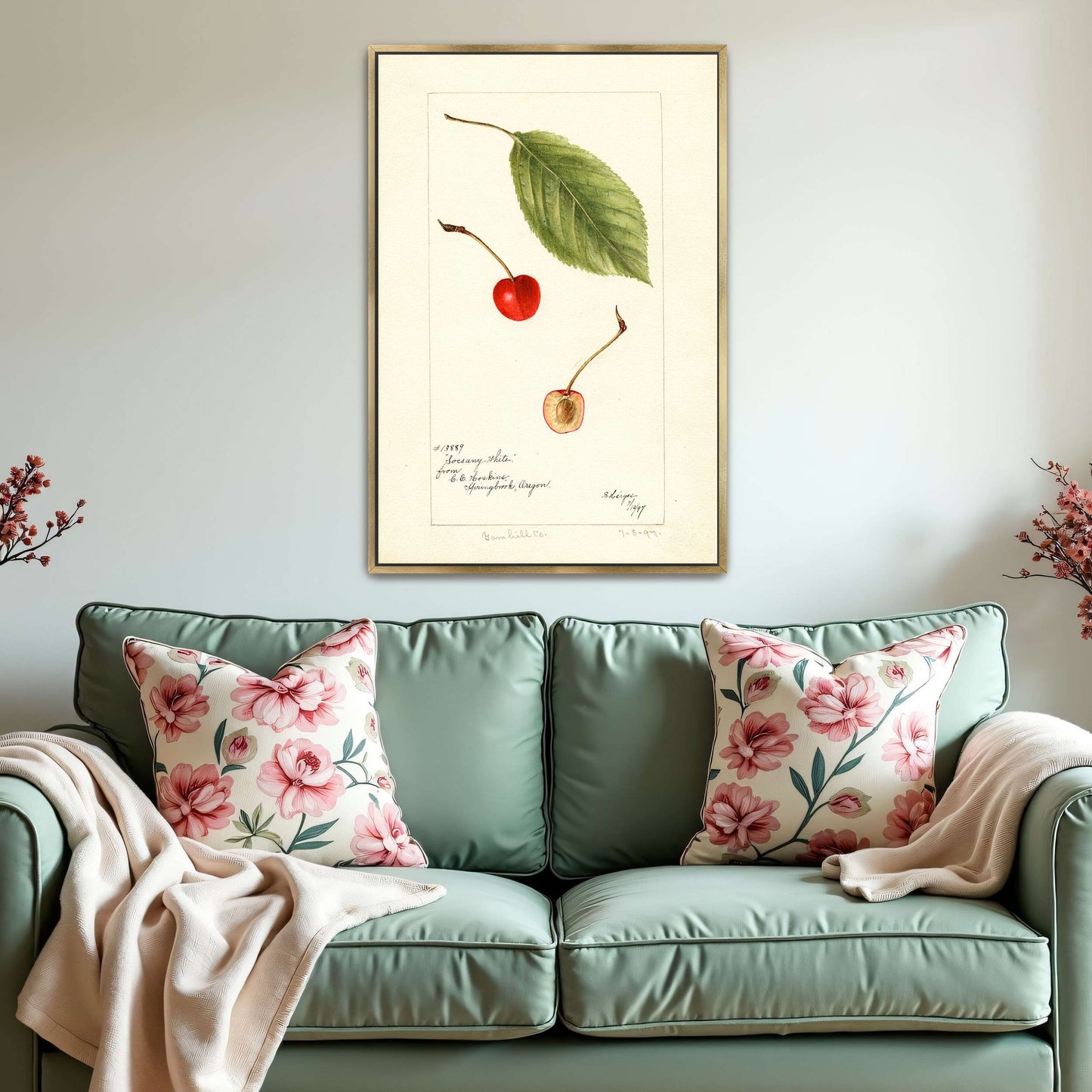 Cherry leaf and fruit watercolor by Bertha Heiges